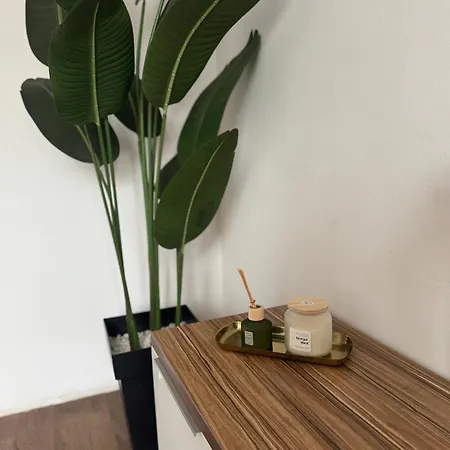 Mother Teresa Skopje